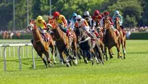 Gazi koşusunu Urfaaslanı kazandı