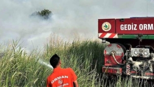 Gediz'de buğday ekili tarla zarar gördü