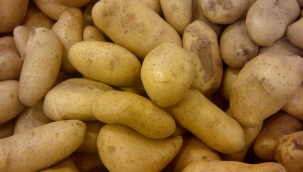 İstanbul'un mayıs'taki zam şampiyonu patates