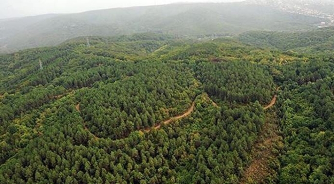 İzmir'de ormanlara girişler yasaklandı