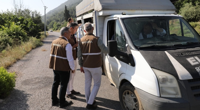 Manisa girişlerinde hastalıklı kurban denetimi