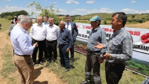 Salihli'de ıslah edilen mera alanı açıldı
