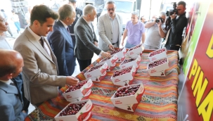 Selendi'nin en en güzel kirazı seçildi
