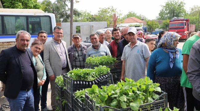Vatandaşa 283 bin fide dağıtıldı