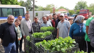 Vatandaşa 283 bin fide dağıtıldı