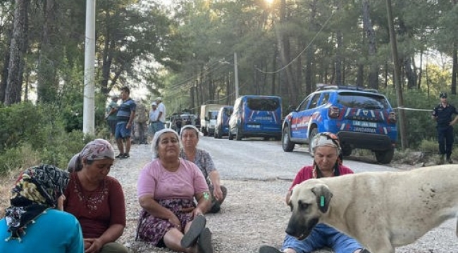 Akbelen'de jandarma eşliğinde doğa katliamı başladı