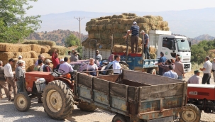 Alaşehir belediyesinden üreticilere ücresiz saman dağıtımı