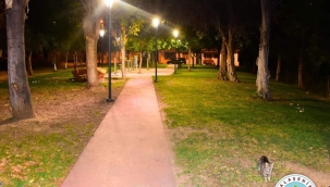Alaşehir'de parklar ışıklandırıldı