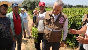 Bağlarda rekolte tespit çalışması