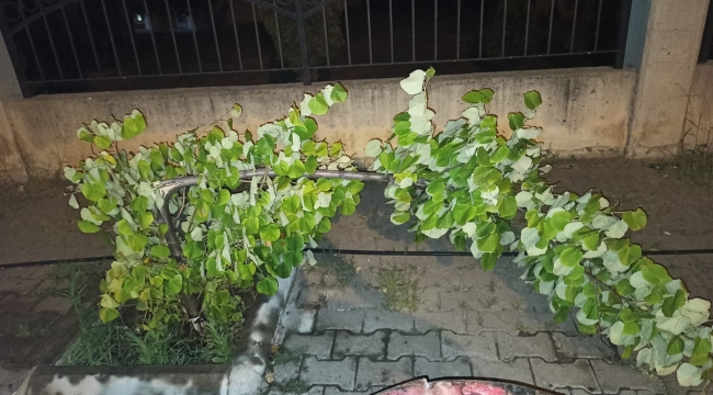 Başkan Çetin'bu vicdansızlığın en büyüğüdür'