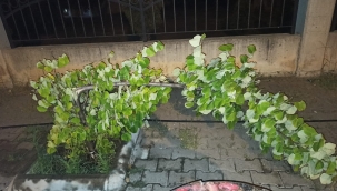 Başkan Çetin'bu vicdansızlığın en büyüğüdür'