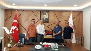 Çilek fideleri meyve verdi