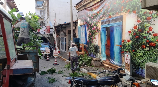 Fırtına ve dolu ilçeleri vurdu