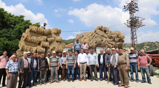 Hayvan üreticilerine ücretsiz saman dağıtımı