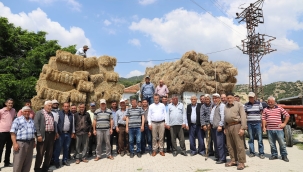 Hayvan üreticilerine ücretsiz saman dağıtımı