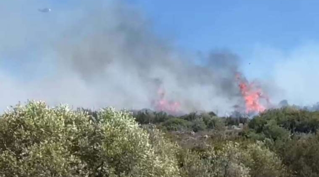 İzmir Çeşme'de orman yangını
