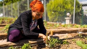 İzmir'de 'mahalle bostanları' projesi semtlere yayılıyor