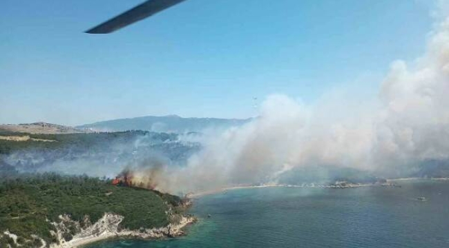 İzmir'in iki ilçesinde orman yangını