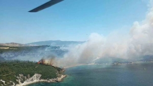 İzmir'in iki ilçesinde orman yangını