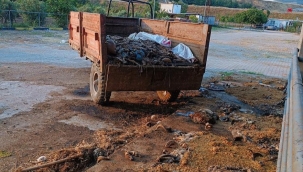 Soma kokmaya başladı