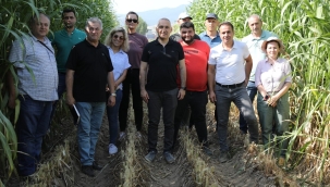 Kula,Turgutlu ve Gördes pilot olarak belirlendi