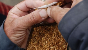 Sarmalık tütüne 10 lira zam geldi