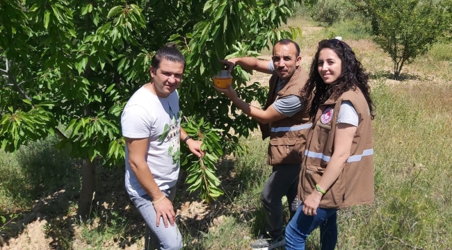 Selendi,Gördes,Sarıgöl ve Alaşehir'de arı alan çalışması