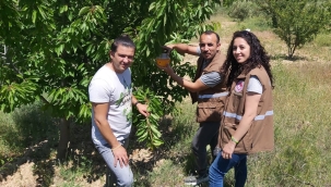 Selendi,Gördes,Sarıgöl ve Alaşehir'de arı alan çalışması