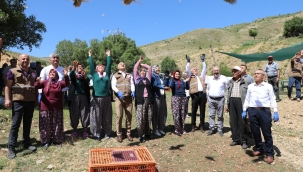 Tarım alanlarını koruyacak çekirge düşmanı keklikler salındı