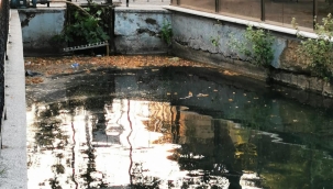 Turgutalp mahalesinin belediye isyanı