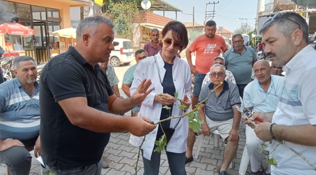 Üreticilere hastalık ve zararlılarla mücadele anlatıldı