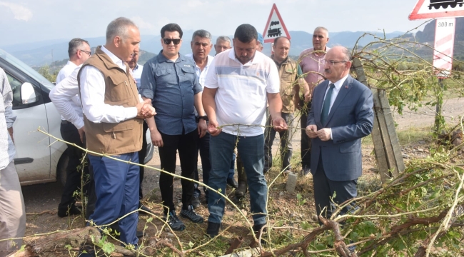 Vali Karadeniz,zarar gören tarım alanlarını gezdi