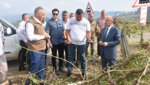 Vali Karadeniz,zarar gören tarım alanlarını gezdi
