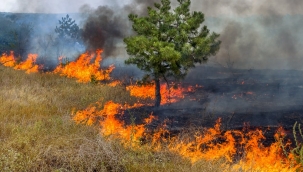 Valilikten vatandaşlara yangın uyarısı