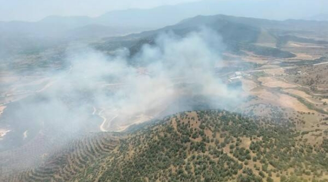 Yangın tarlada başladı ormana sıcradı