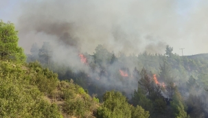 Yanngın büyüdü,evler yandı mahalleler tahliye ediliyor