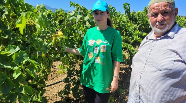 Ziraat odası tarım danışmanları sahada