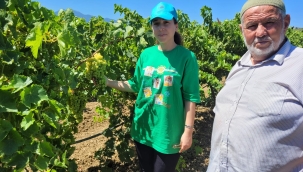 Ziraat odası tarım danışmanları sahada