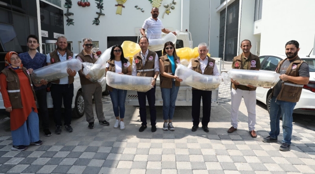 890 bin balık yavrusu baraj gölü ve göletlere bırakıldı