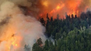 9 günde 148 orman yangını