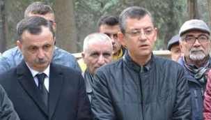 Al birini vur birine