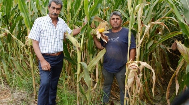 Başkan Altındağ'dan TMO'nin şok fiyatına tepki