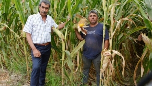 Başkan Altındağ'dan TMO'nin şok fiyatına tepki