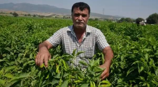 Başkan Şenol,fabrikalar anlaştı fiyat düşürdüler iddiası