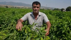 Başkan Şenol,fabrikalar anlaştı fiyat düşürdüler iddiası