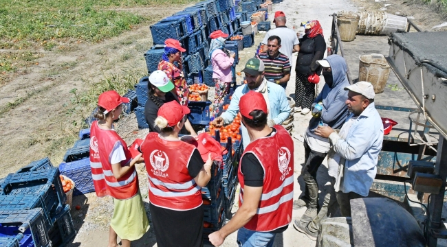 Belediye tarım işçilerine şapka ve su dağıttı 