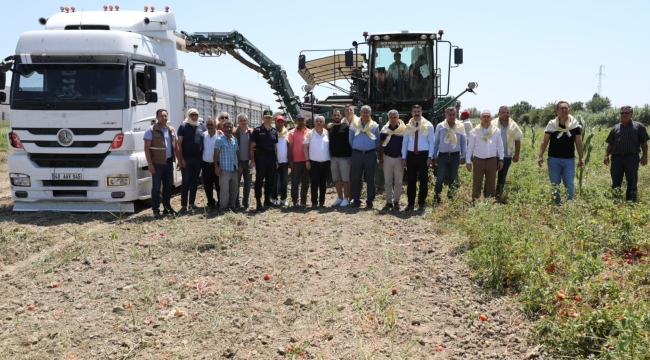 Hasat başladı salçalık domates fiyatı 2,10-2,40 TL arasında