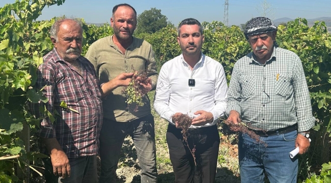 İyi partili başkan üzüm üreticilerinin sesi oldu