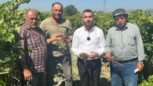 İyi partili başkan üzüm üreticilerinin sesi oldu