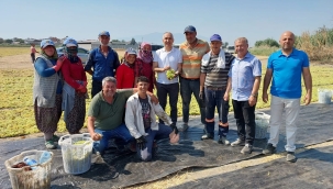 Müdür Öztürk'Manisa Dünyada en önemli üzüm üretim merkezi'